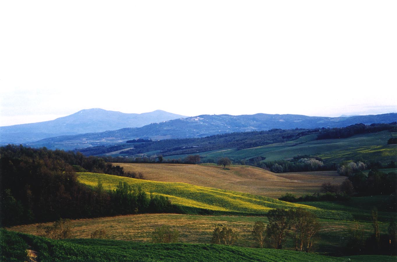 The landscape. Hilly countryside of Siena 2012, Photo taken by Kazumasa Mizokami, twilight after the rain approaching  to the open hilly rural scenery