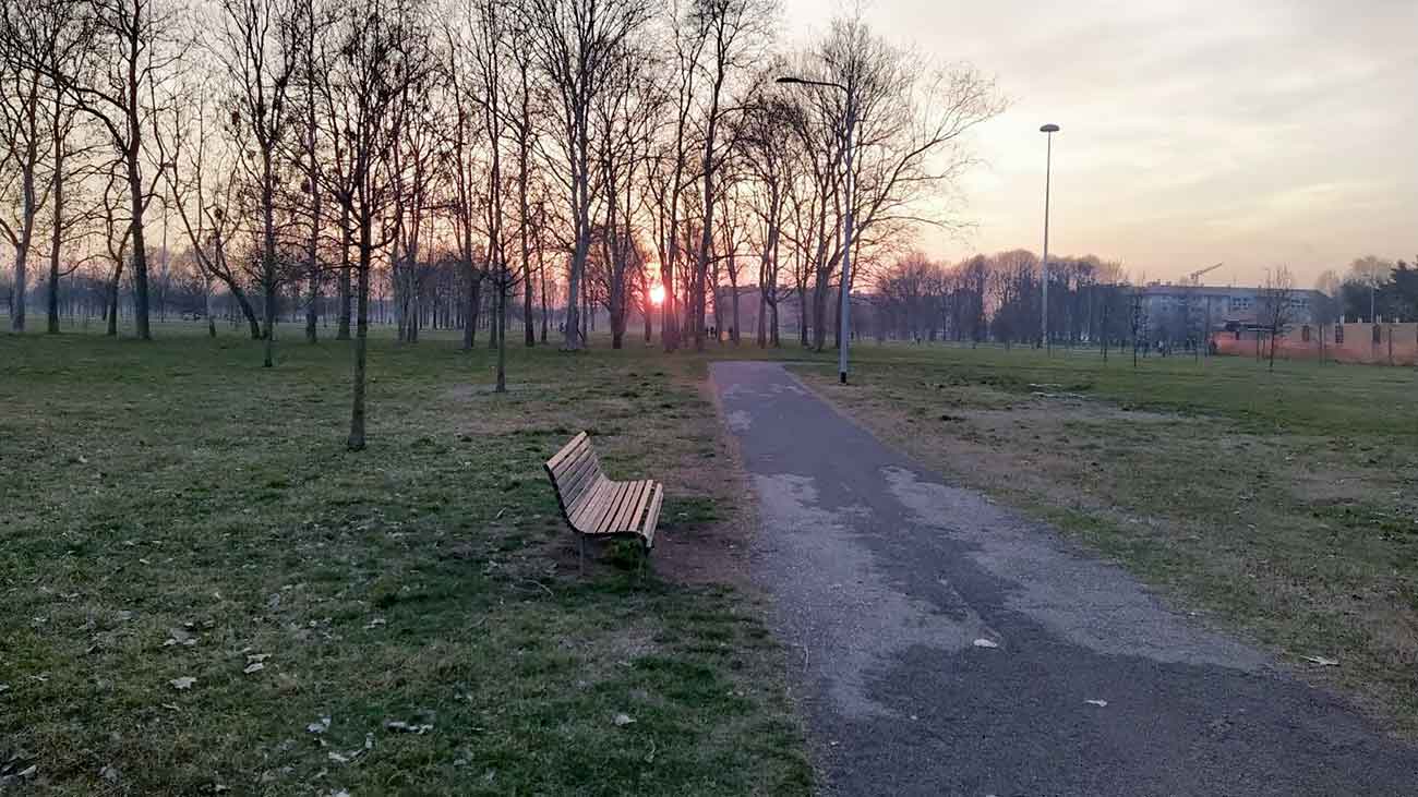 Natura Morta