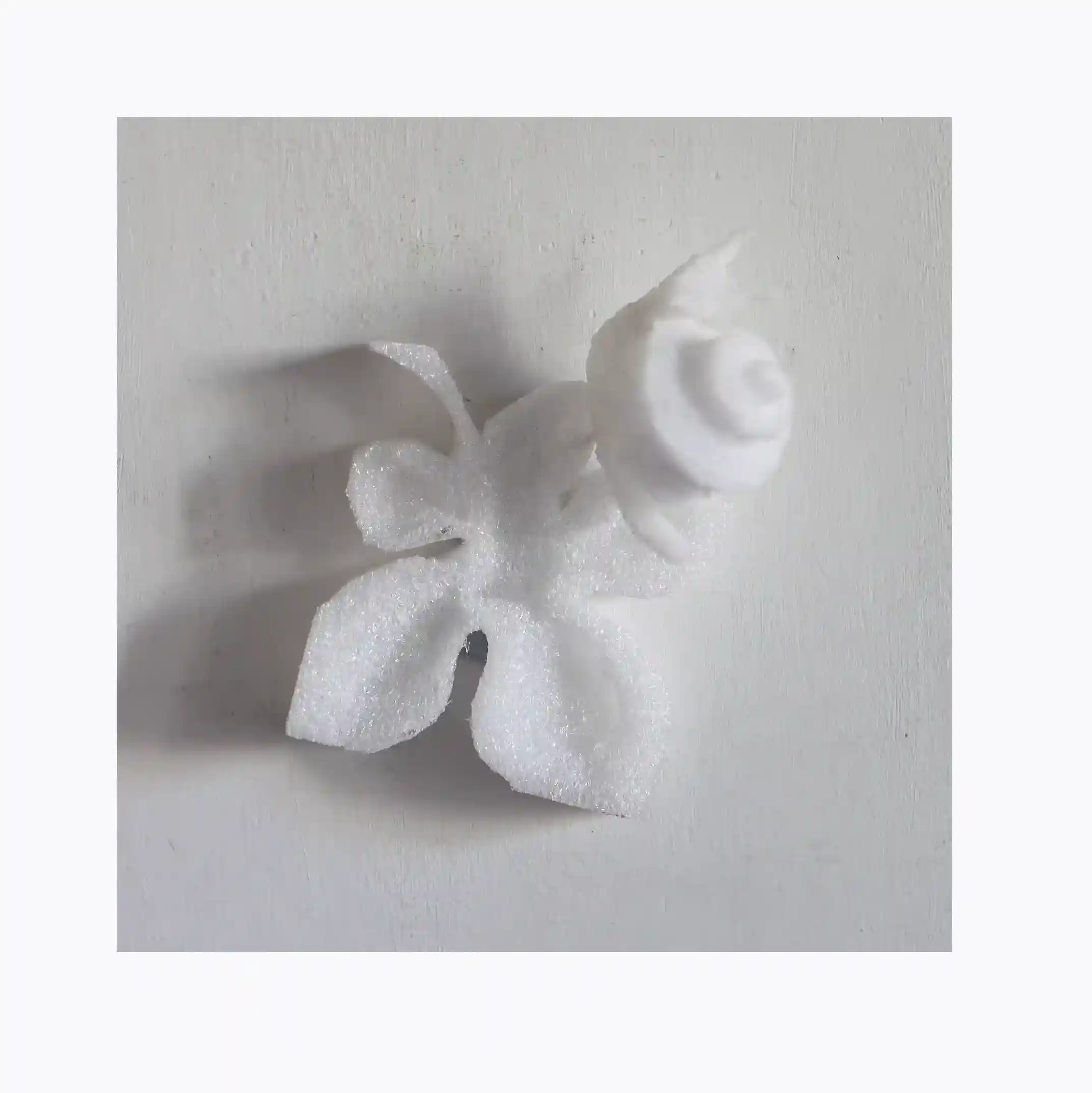 one of 12 living particular an insect on a sheet shape 18x18xh10cm white I polymers sculpted