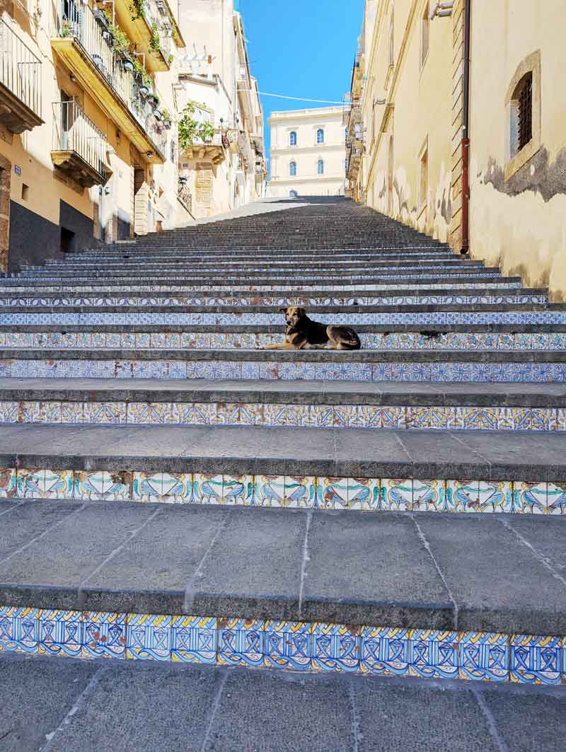 Very long staircase decorated with various colored painted tiles made from Caltagirone and a dog is resting halfway up the stairs.