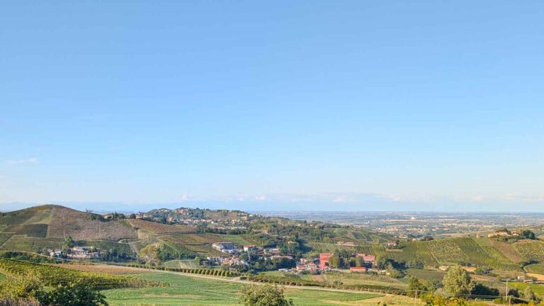 Mani di terra / La Crescentina, The group show